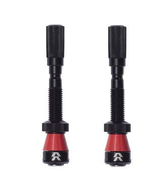 Santa Cruz Bicycles Reserve Fillmore Tubeless Valve - 50mm, Black, Pair